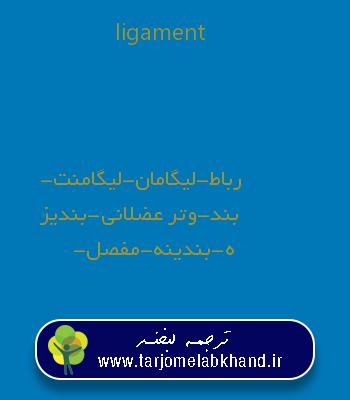ligament به فارسی